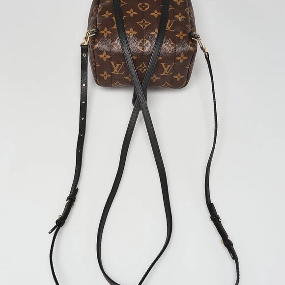 Louis Vuitton Monogram Canvas Palm Springs Mini Backpack Bag - Picture 7 of 11